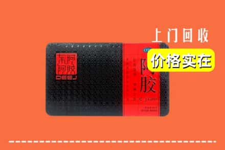 仁寿县回收阿胶