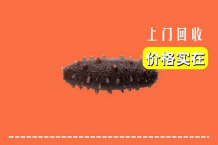 仁寿县回收海参