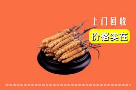 仁寿县回收冬虫夏草